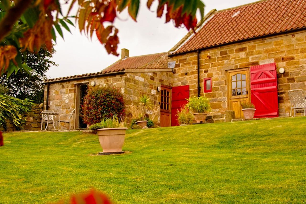 Rosecombe, Borrowby Farm Cottages Staithes Eksteriør billede